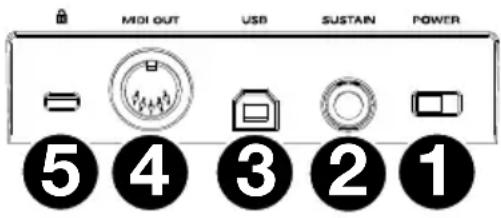 M-AUDIO Oxygen Pro 25 - Rückseite - 1