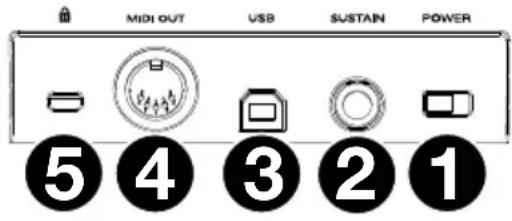 M-AUDIO Oxygen Pro 25 - Pannello posteriore - 1