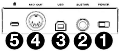 M-AUDIO Oxygen Pro 25 - Paneltrasero - 1