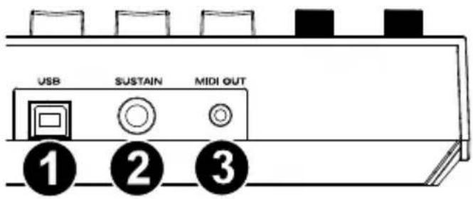 M-AUDIO Oxygen Pro Mini - Paneltrasero - 1