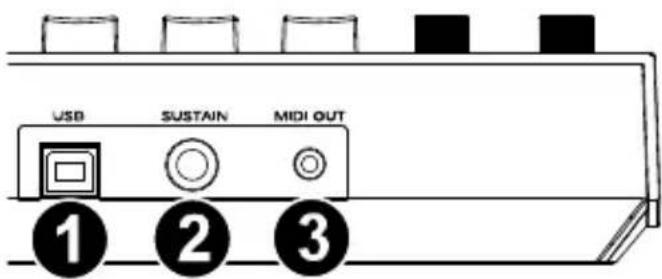 M-AUDIO Oxygen Pro Mini - Rear Panel - 1