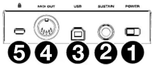 M-AUDIO Oxygen Pro 49 - Paneltrasero - 1