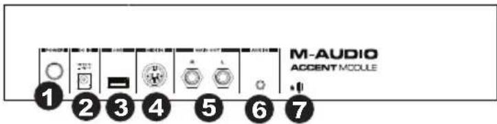M-AUDIO Accent Module - Rear Panel - 1