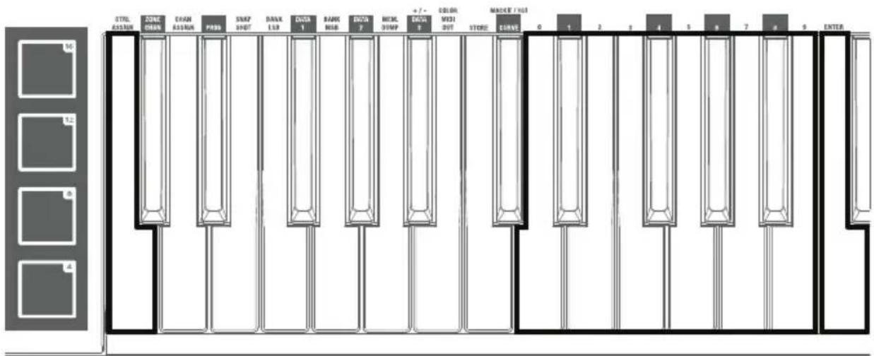 M-AUDIO Code 25 - Importante: - 2