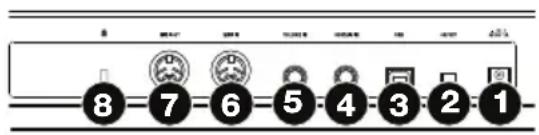 M-AUDIO Code 25 - Rückseite - 1