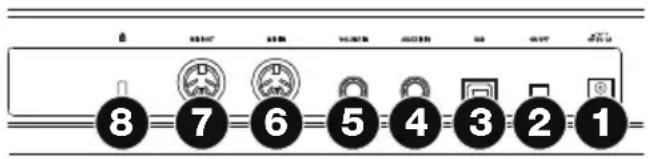 M-AUDIO Code 25 - Rear Panel - 1