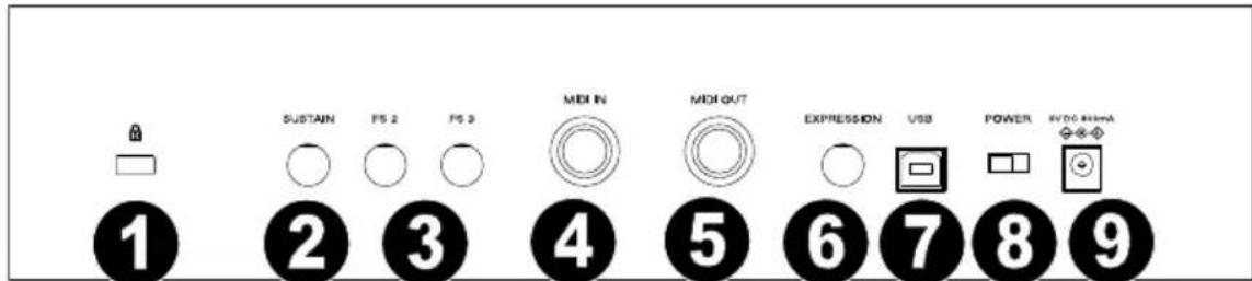 M-AUDIO Hammer 88 Pro - Rear Panel - 1