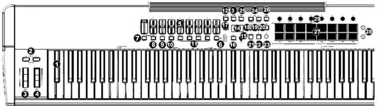 M-AUDIO Hammer 88 Pro - Pannello superiore - 1