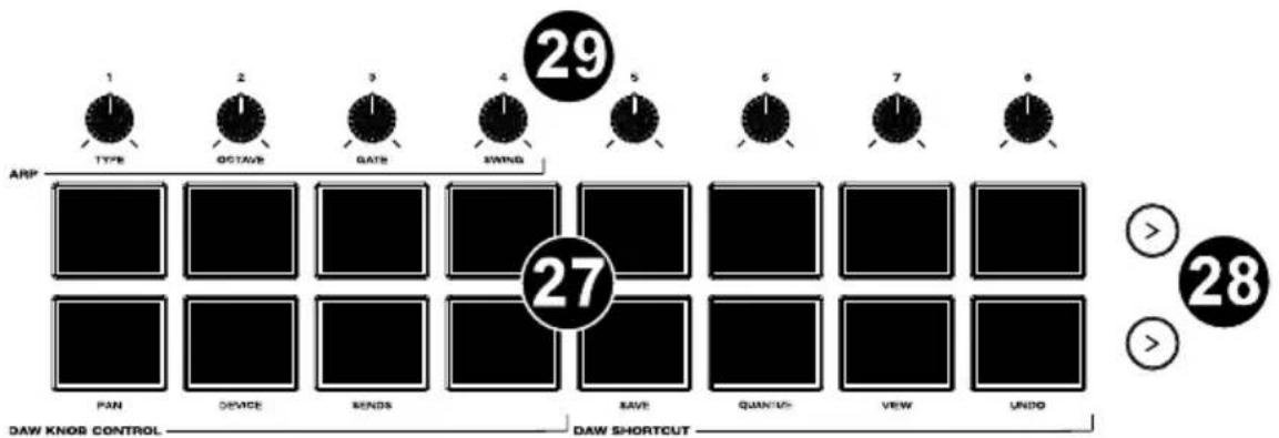 M-AUDIO Hammer 88 Pro - Pads / Boutons - 1