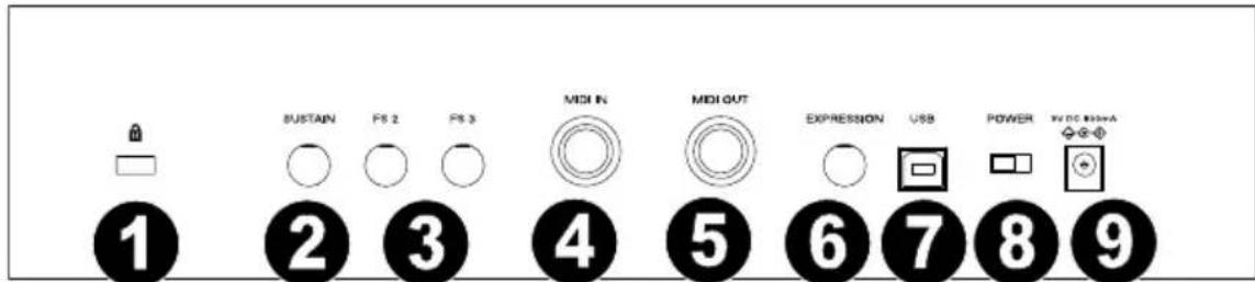 M-AUDIO Hammer 88 Pro - Rückseite - 1