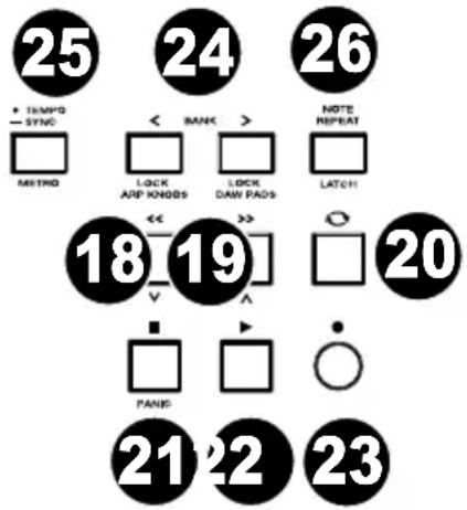 M-AUDIO Hammer 88 Pro - Central Buttons - 2