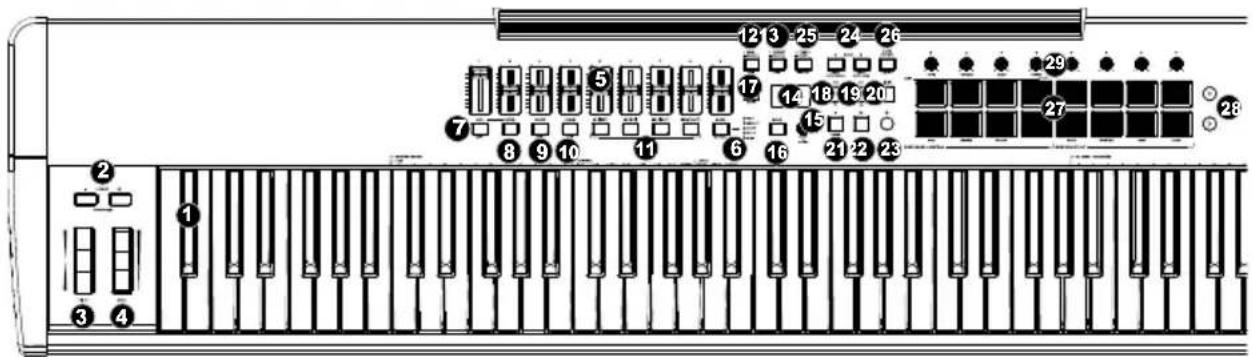 M-AUDIO Hammer 88 Pro - Panneau supérieur - 1