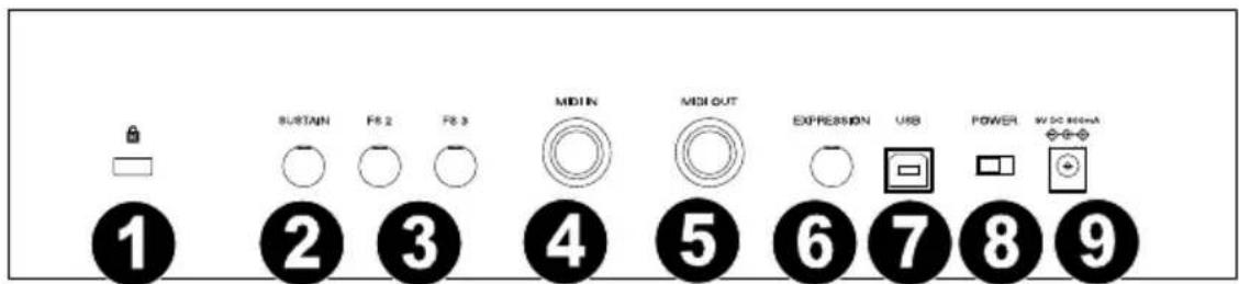 M-AUDIO Hammer 88 Pro - Panel trasero - 1