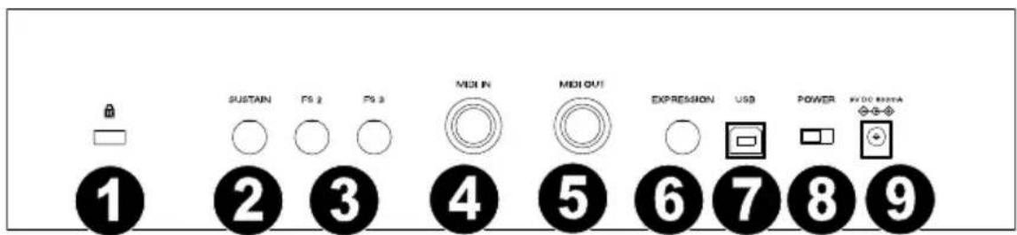 M-AUDIO Hammer 88 Pro - Panneau arrière - 1