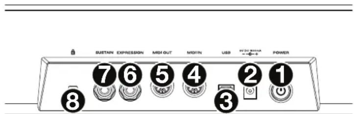 M-AUDIO CTRL49 - Rear Panel - 1