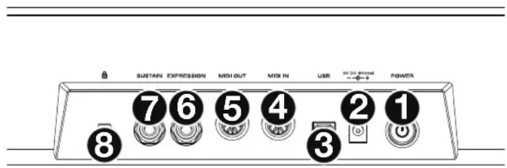 M-AUDIO CTRL49 - Panel trasero - 1