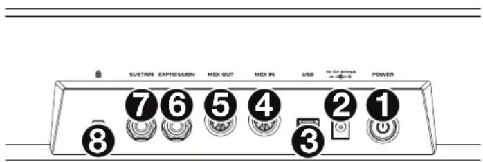 M-AUDIO CTRL49 - Panneau arrière - 1