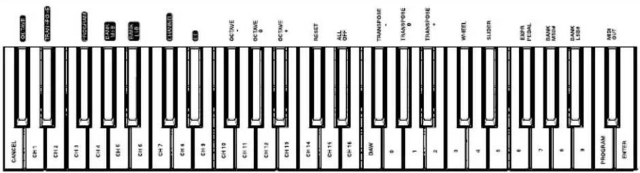 M-AUDIO Keystation 88 MK3 - Paneltrasero - 2
