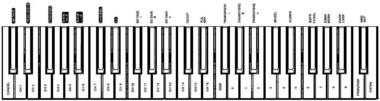 M-AUDIO Keystation 88 MK3 - Rückseite - 2
