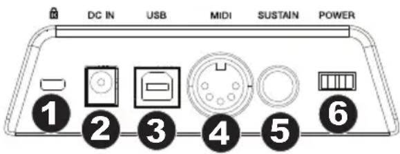 M-AUDIO Keystation 88 MK3 - Pannello posteriore - 1
