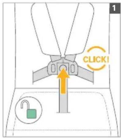 RECARO Easylife 2 - BG-CbIbPXAHAHE - 13
