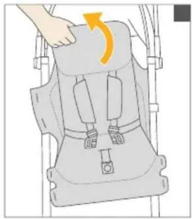 RECARO Easylife 2 - BG-CbIbPXAHAHE - 55