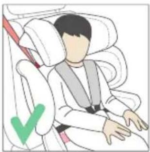 RECARO Tian Elite - W CELU OCHRONY POJAZDU - 8