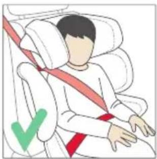 RECARO Mako 2 - POUR LA PROTECTION DU VEHICULE - 5