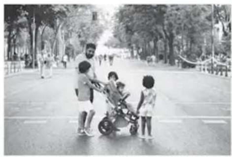 Bugaboo Fox - fi - 2