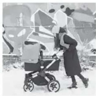 Bugaboo Fox - Twitter - 4