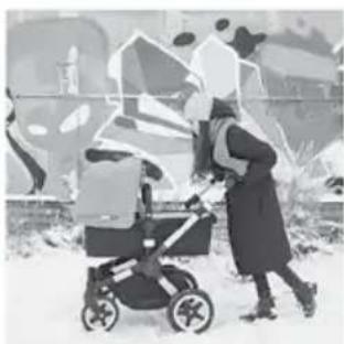 Bugaboo Fox - ZAUPAJTE NAM SVOJE MNENJE - 3