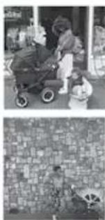 Bugaboo Fox - Twitter - 3