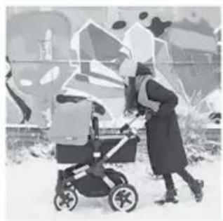 Bugaboo Fox - Twitter - 4
