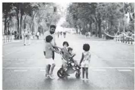 Bugaboo Fox - 3