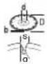 BOSCH GWS 20230 P Professional - max. [mm] [mm] [°] - 10
