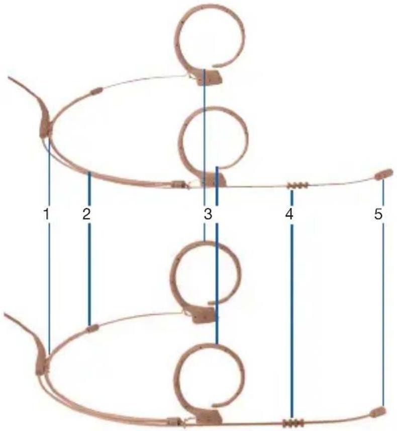 AKG EC81 MD - Micrófonos de diadema - 1