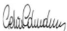 FERROLI Pegasus - ITALATCI - IMALATCI FIRMA - 2