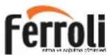 FERROLI Pegasus - ITALATCI - IMALATCI FIRMA - 1