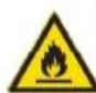 FERROLI Egea Lt - FIRE RISK - 3