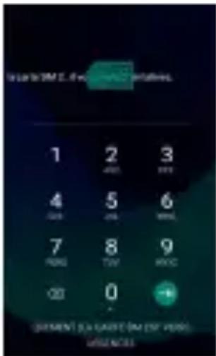 LOGICOM Le Fizz - Verrouillage / Déverrouillage des carte SIM - 1