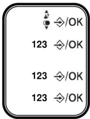 LOGICOM Aura 100 - - Régler le code PIN - 2