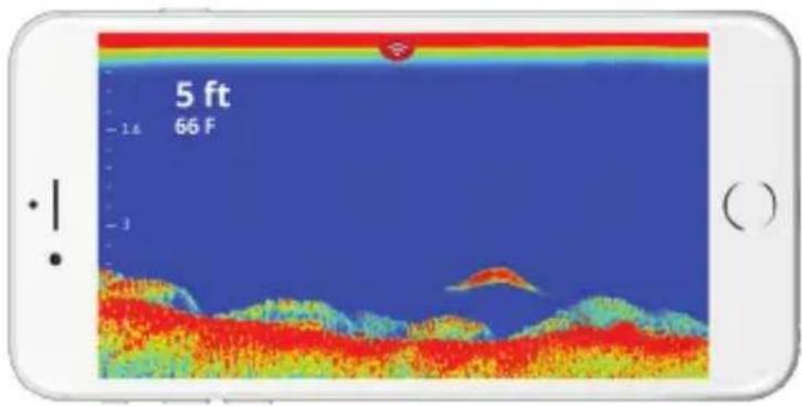 LOWRANCE FishHunter Pro - Mode Shallow Water (Hauts-fonds) - 1