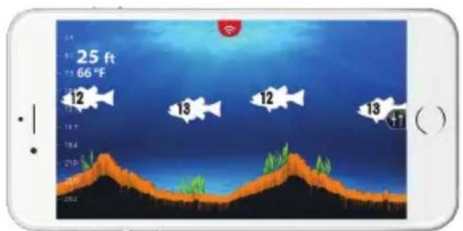 LOWRANCE FishHunter Pro - Couverture du sondeur FishHunter - 3