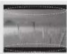 LG 55UF8517 - VORSICH - 31