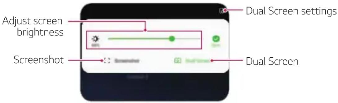 LG LMG910EMW - Using the Dual Screen Panel - 1
