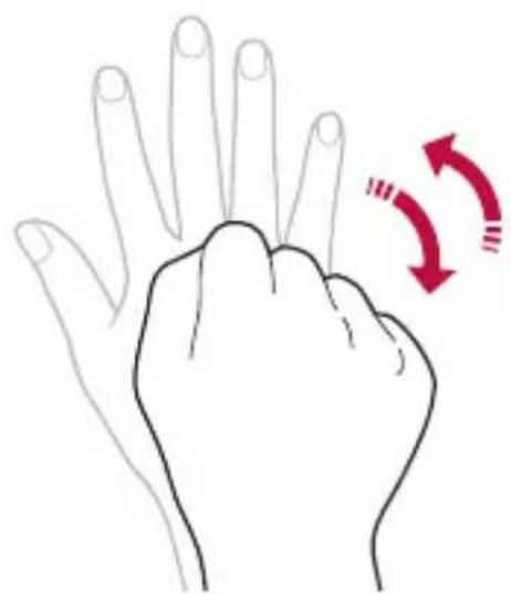 LG LMG900EM - Gesture shot - 2