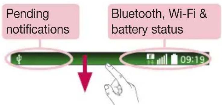 LG D280N - Notifications panel - 1