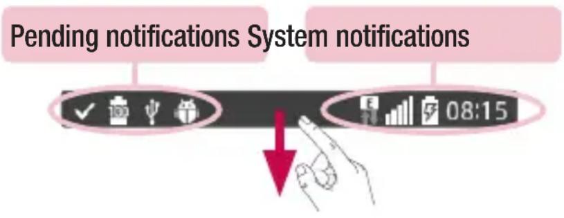 LG D213N - Notifications - 1