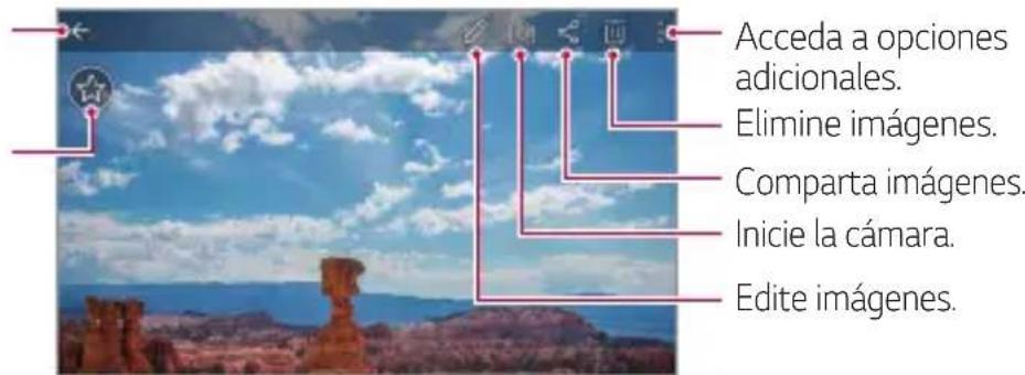 LG M250N - Visualización de fotos - 1