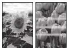 CANON PIXMA TR4651 - If Print Results Are Unsatisfactory - 2